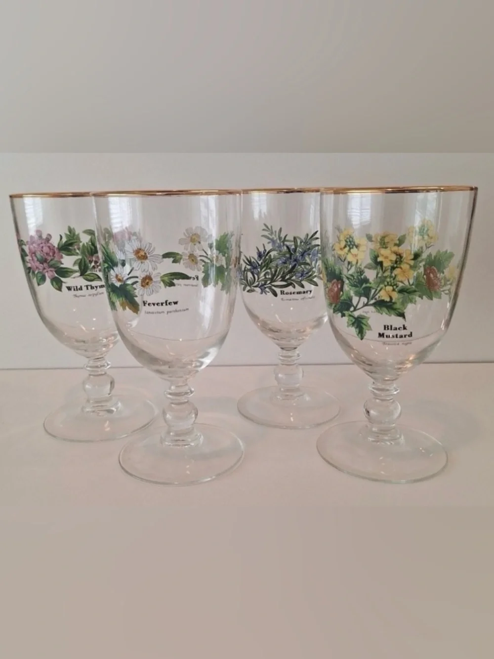 EUC Royal Worchester Herbs Stemmed Water Goblets w/Gold Rim (Set of 4) Vintage